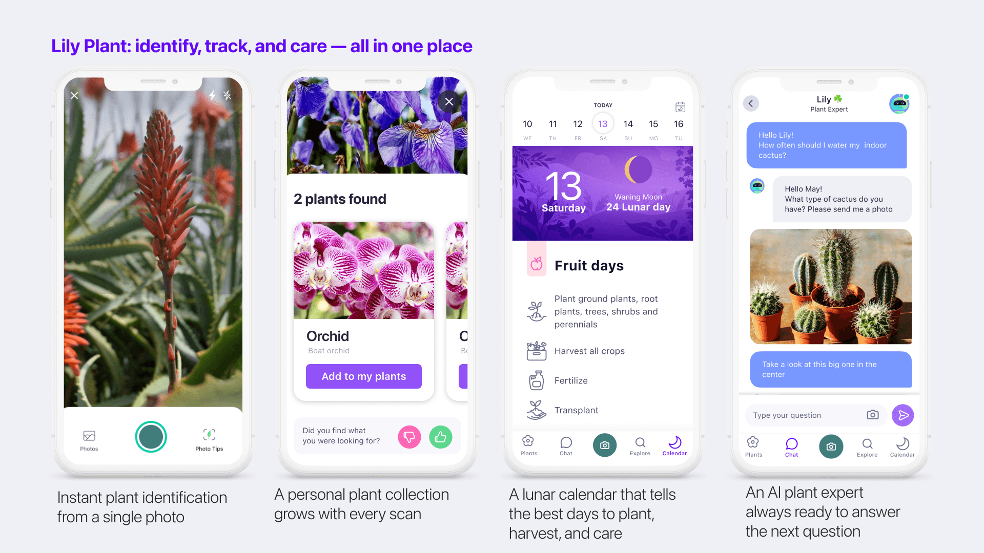 Lily Plant — screen 1