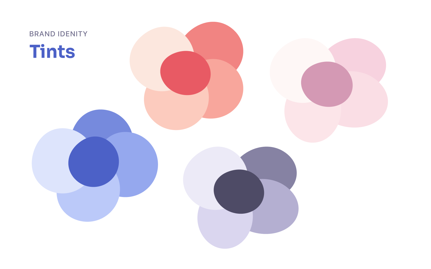 Femia Brand Identity — screen 15