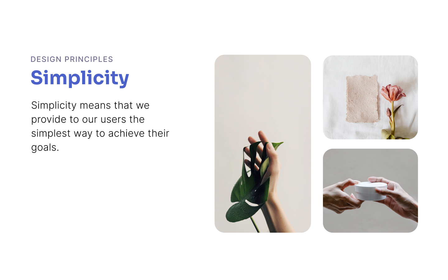 Femia Brand Identity — screen 9
